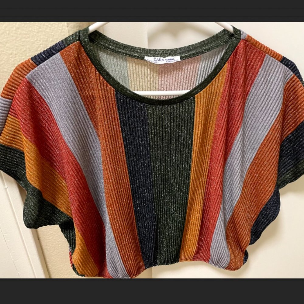 Zara Shimmery Top